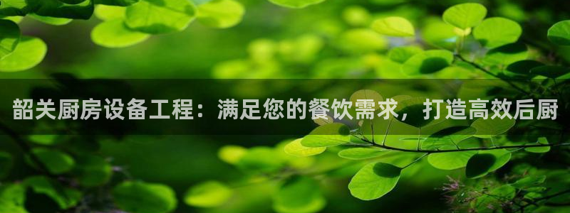 尊龙官网手机版下载