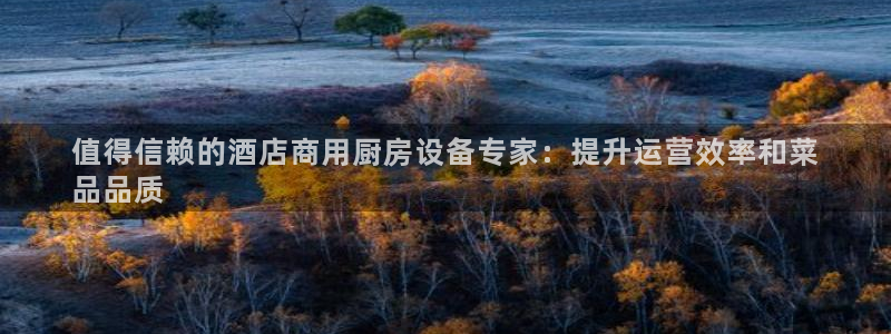 尊龙登录会员登录：值得信赖的酒店商用厨房设备专家：提升运营效