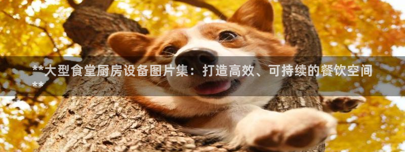 下载凯时AG旗舰厅首页：**大型食堂厨房设备图片集：打造高效