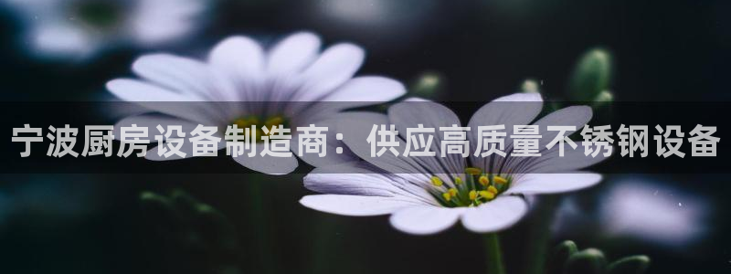 尊龙凯时推荐人：宁波厨房设备制造商：供应高质量不锈钢设备