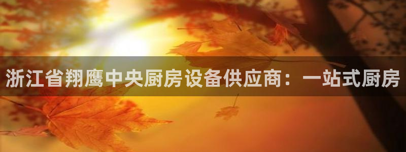 尊龙人生就是博官网登录手机：浙江省翔鹰中央厨房设备供应商：一