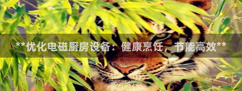 尊龙官网免费下载安卓
