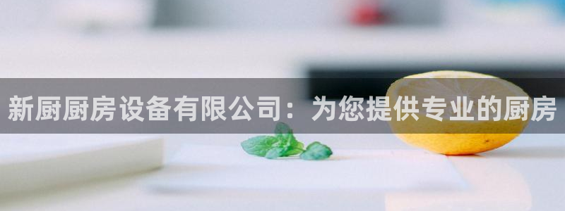 尊龙凯时人生就是搏!平台：新厨厨房设备有限公司：为您提供专业
