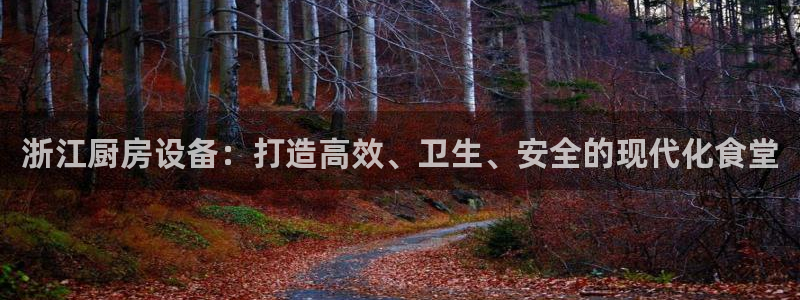 尊龙手机官方客户端下载安卓：浙江厨房设备：打造高效、卫生、安