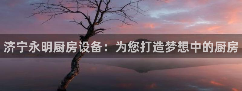 尊龙凯时一人生就是博登入：济宁永明厨房设备：为您打造梦想中的