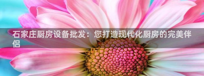 尊龙人生就是-首页(中国)有限公司：石家庄厨房设备批发：您打