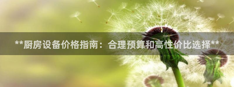 凯时国际平台有人赢吗：**厨房设备价格指南：合理预算和高性价