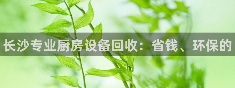 尊龙人生就是博网站下载