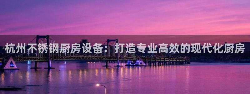 尊龙凯时存款多久到账：杭州不锈钢厨房设备：打造专业高效的现代