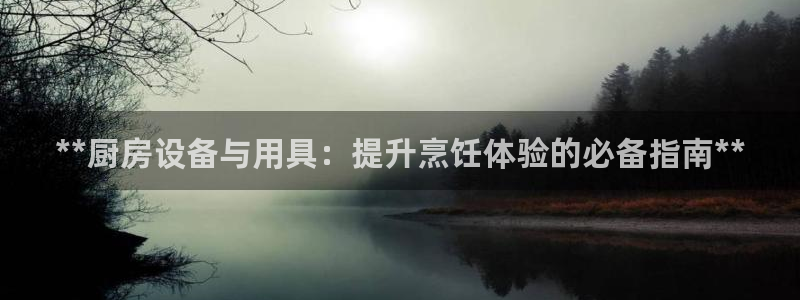 尊龙凯时凯发官网：**厨房设备与用具：提升烹饪体验的必备指南