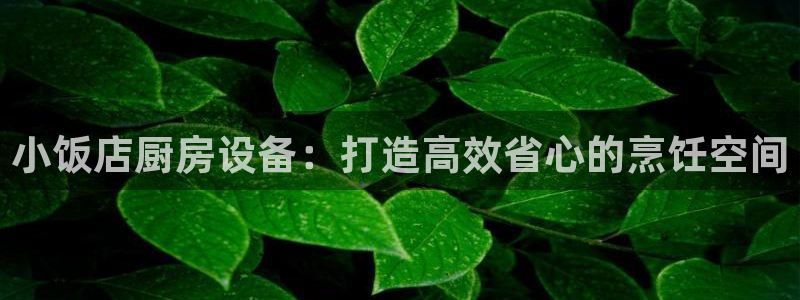 尊龙d88官网so问来就送38：小饭店厨房设备：打造高效省心