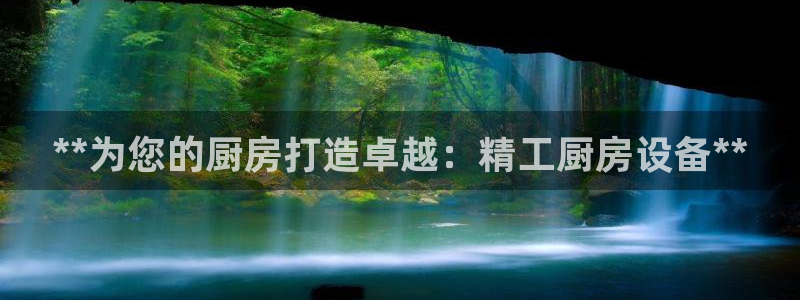 尊龙新版手机app下载：**为您的厨房打造卓越：精工厨房设备