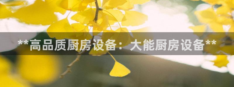 尊龙凯时人生就是博·(中国)官网最新：**高品质厨房设备：大