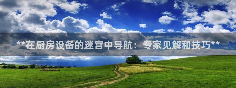 尊龙ag旗舰厅官网·(中国)官方入口：**在厨房设备的迷宫中