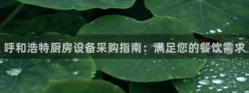 尊龙凯时提现不了：呼和浩特厨房设备采购指南：满足您的餐饮需求