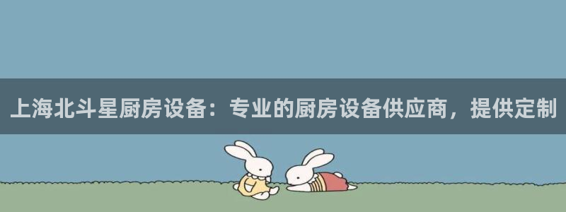 尊龙旗舰厅app：上海北斗星厨房设备：专业的厨房设备供应商，