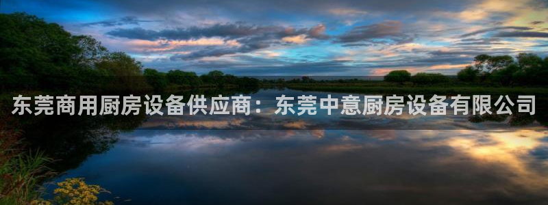 尊龙网站手机下载：东莞商