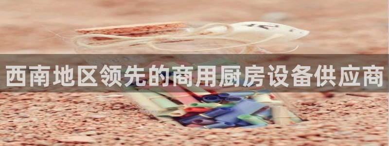 尊龙/人生就是博：西南地区领先的商用厨房设备供应商