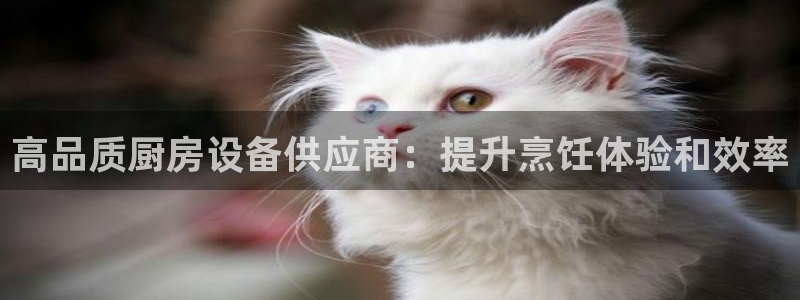 尊龙凯时总部在哪里：高品质厨房设备供应商：提升烹饪体验和效率