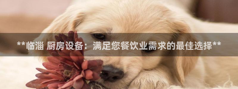 尊龙人生就是博登录准认来就送38：**临淄 厨房设备：满足您
