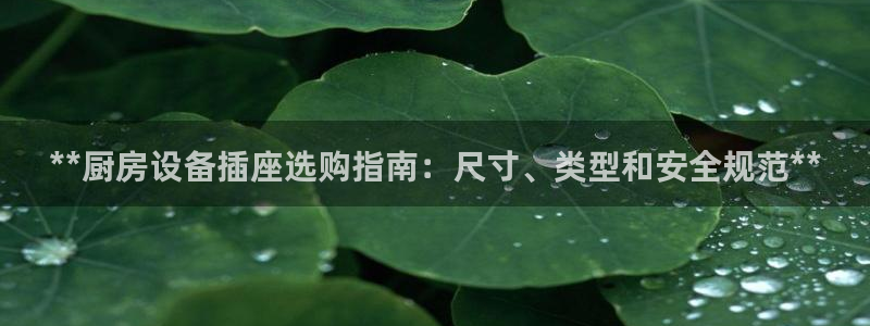 尊龙网站手机下载：**厨房设备插座选购指南：尺寸、类型和安全