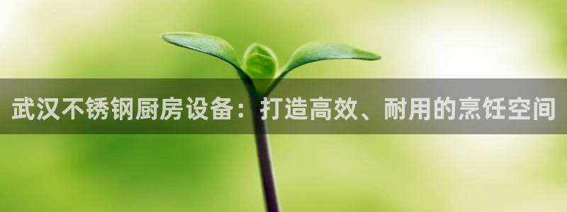 尊龙网站登录：武汉不锈钢厨房设备：打造高