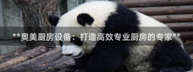 尊龙d88官网确来就送38：**奥美厨房设备：打造高效专业厨