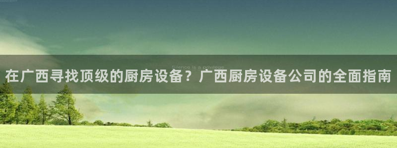 尊龙平台登录：在广西寻找顶级的厨房设备？广西厨房设备公司的全