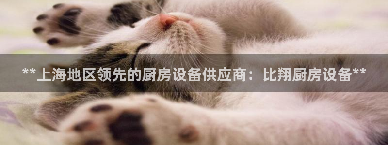 尊龙d88用现推选ag发财网：**上海地区领先的厨房设备供应