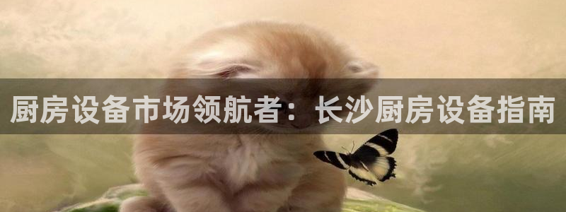 凯时登录平台去AG发财网：厨房设备市场领航者：长沙厨房设备指