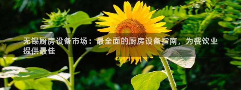 尊龙-人生就是博!：无锡厨房设备市场：最全面的厨房设备指南，