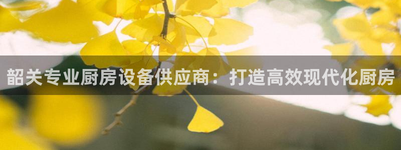 尊龙人生就是博旗舰厅：韶