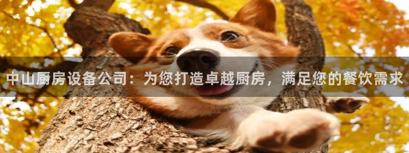 凯时APP官网首页：中山厨房设备公司：为