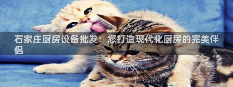 尊龙凯时登陆入口