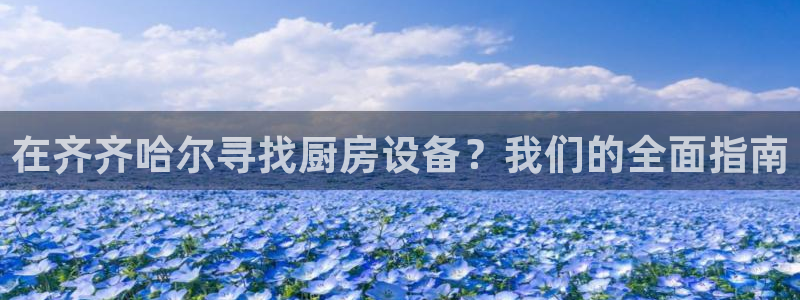 尊龙凯时城游戏官网：在齐齐哈尔寻找厨房设备？我们的全面指南