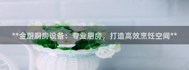 尊龙凯时平台还是万搏好：