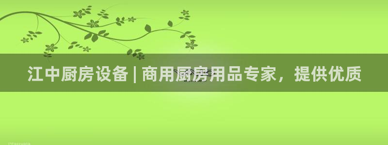 尊龙集团有限公司官网：江中厨房设备 | 商用厨房用品专家，提