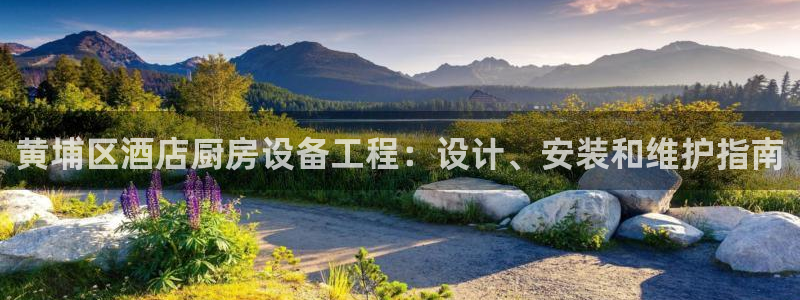 尊龙官网免费下载安装：黄