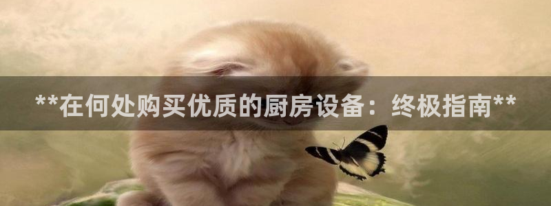 尊龙凯时官网：**在何处