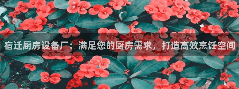 尊龙凯时人生就是搏!官网：宿迁厨房设备厂