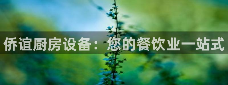 尊龙凯时几百万怎么下款：侨谊厨房设备：您的餐饮业一站式