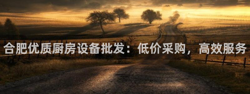 尊龙集团官网：合肥优质厨