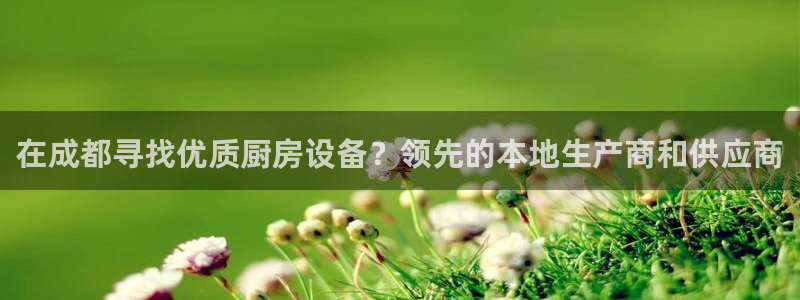 凯时平台怎么样：在成都寻找优质厨房设备？