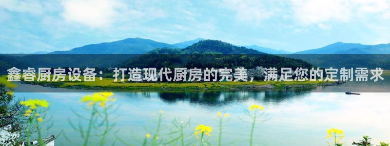 尊龙人生就是博下载：鑫睿厨房设备：打造现代厨房的完美，满足您