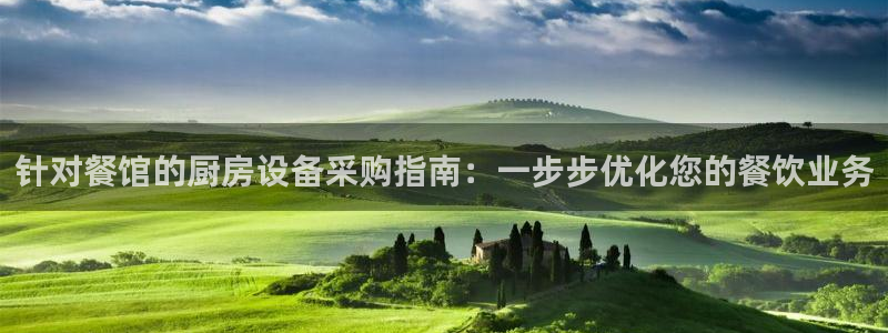 凯时K66最新版本下载：针对餐馆的厨房设备采购指南：一步步优