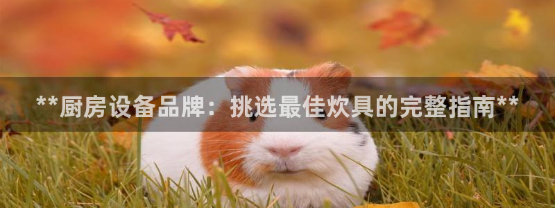 尊龙凯时 人生就是搏首页