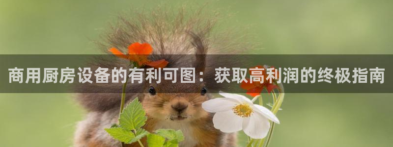 尊龙凯时的钱能退回来吗：商用厨房设备的有利可图：获取高利润的