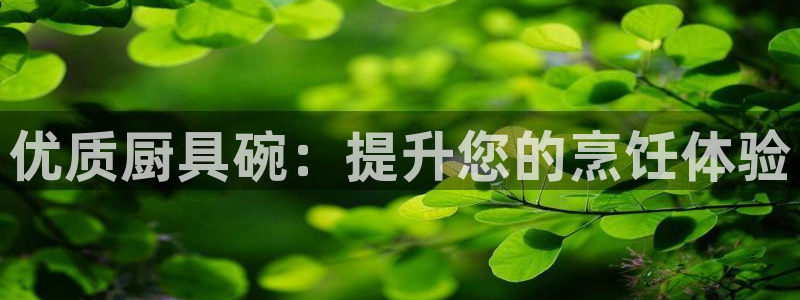 尊龙官方网站：优质厨具碗