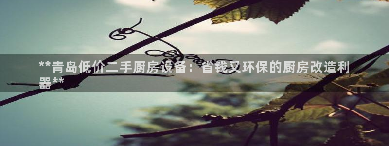 尊龙实业有限公司属于国企