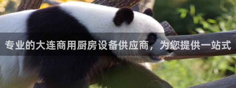 凯时平台登录：专业的大连商用厨房设备供应商，为您提供一站式